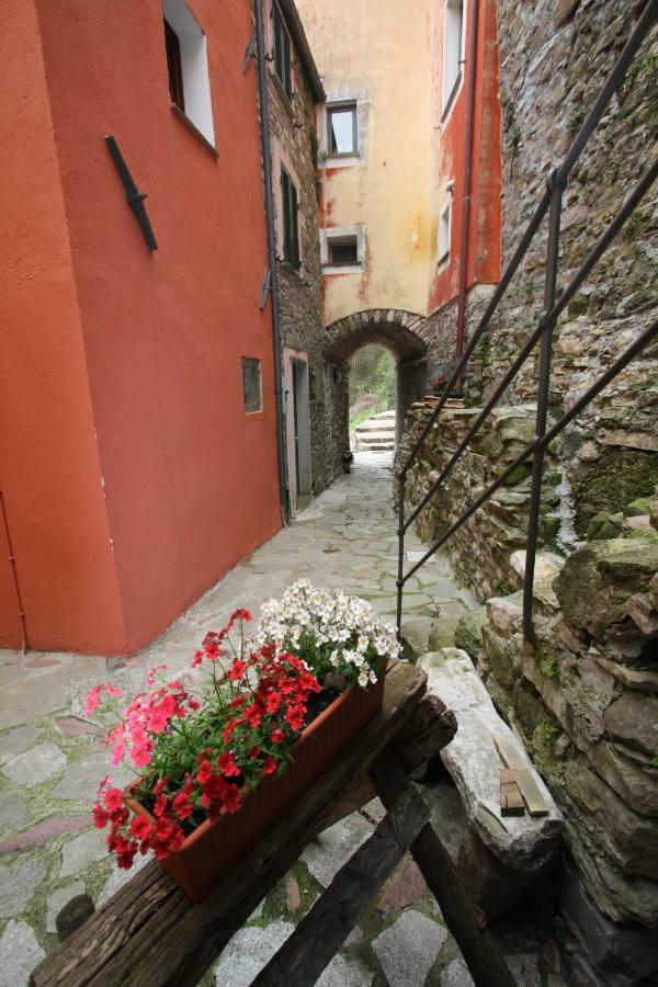 Borgo Di Codeglia - Country Rooms Рикко-дель-Гольфо-ді-Спеція Екстер'єр фото