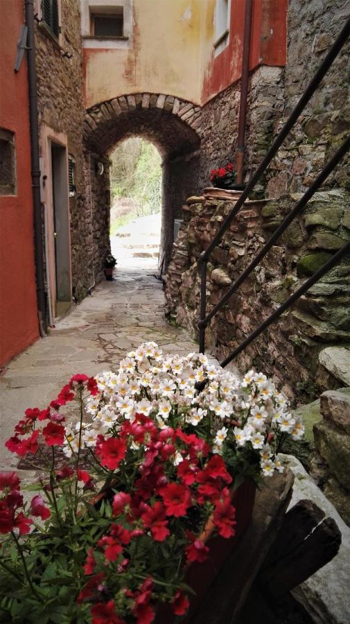Borgo Di Codeglia - Country Rooms Рикко-дель-Гольфо-ді-Спеція Екстер'єр фото